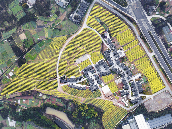 田園綜合體景觀設計13