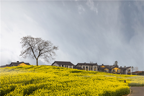 田園綜合體景觀設計3