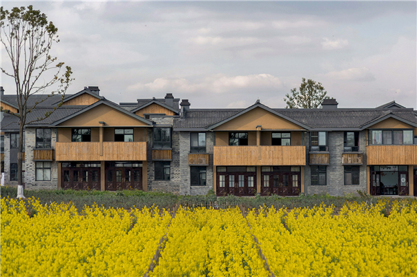 田園綜合體景觀設計6