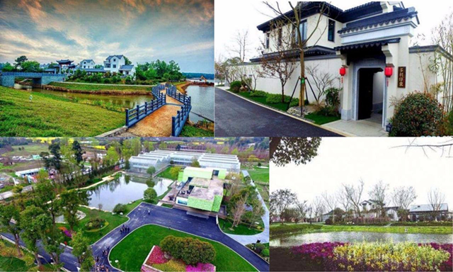 31田園綜合體設計