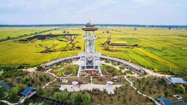 44黑龍江富錦市“稻”夢空間設計效果圖