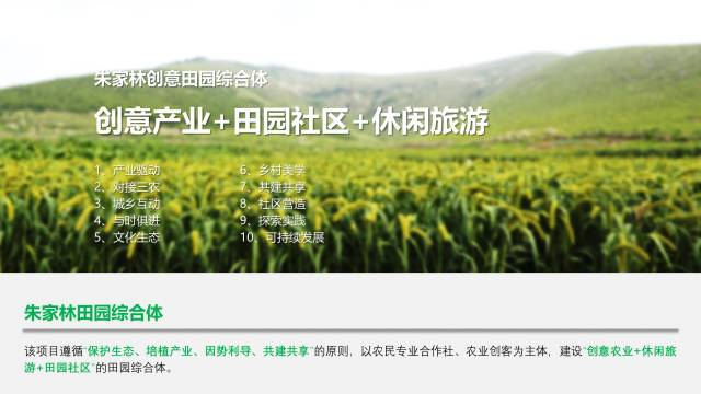 朱家林田園綜合體規劃方案261