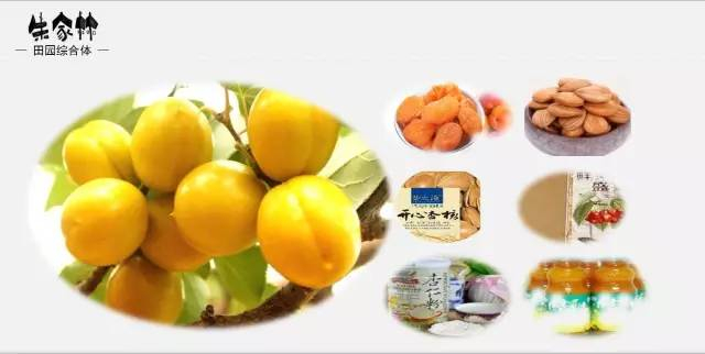 朱家林田園綜合體規劃方案2610