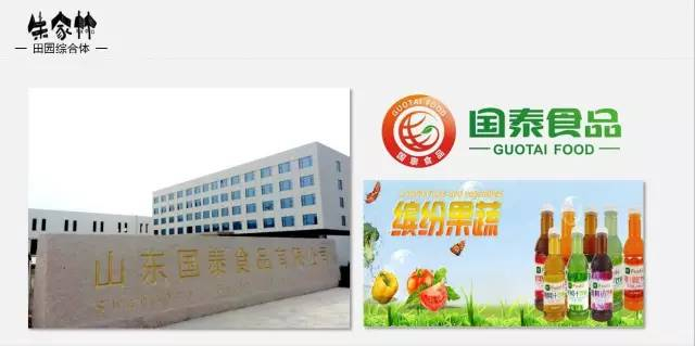 朱家林田園綜合體規劃方案2611