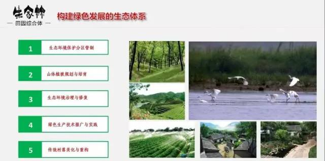 朱家林田園綜合體規劃方案2615