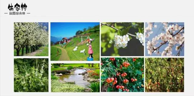 朱家林田園綜合體規劃方案2616