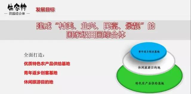 朱家林田園綜合體規劃方案263