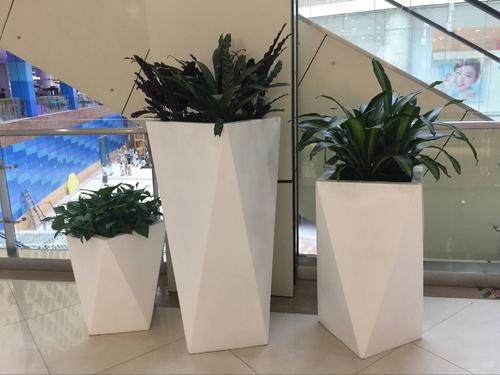 u=1135291884,3907771670&fm=26&gp=0